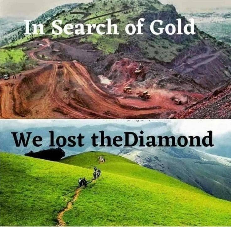 The meme is a humorous comparison between two movie titles. The top image is a mining scene, with the text "In Search of Gold" above it. The bottom image is a scene of people walking through a green field, with the text "We lost the diamond" above it. The meme is poking fun at the idea that the second title is a more accurate description of what happened in the first movie.